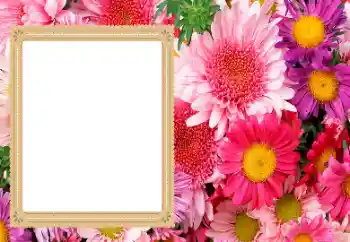Fotóeffektus a kategóriából Női képkeretek № 206193 Fotóeffektus a kategóriából Női képkeretek № 206193